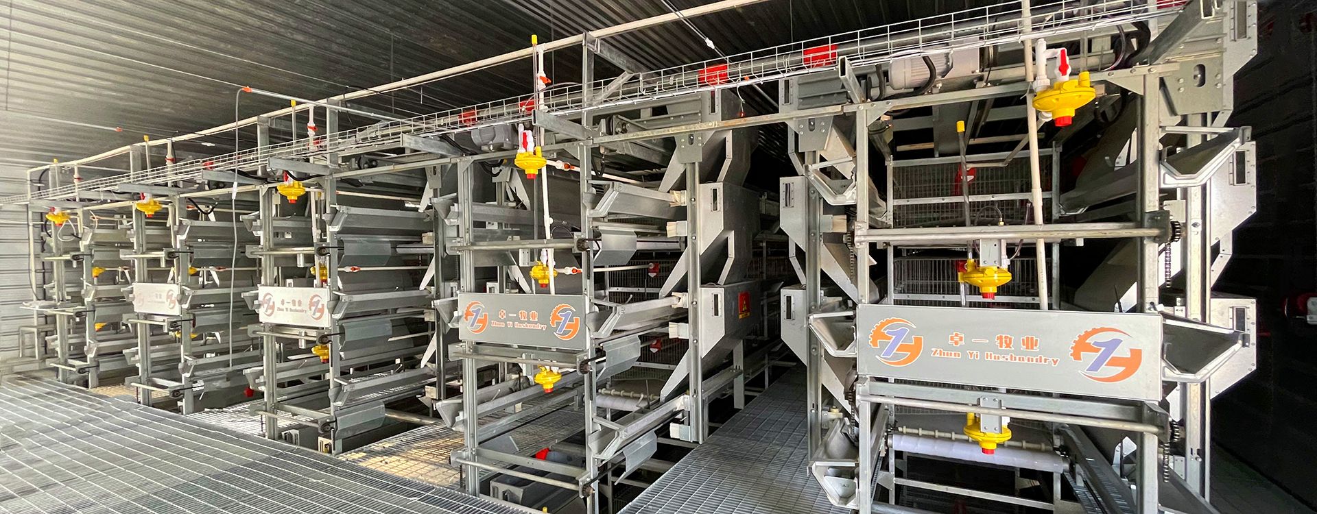 掌握蛋雞養(yǎng)殖要點(diǎn)，輕松進(jìn)行飼養(yǎng)工作