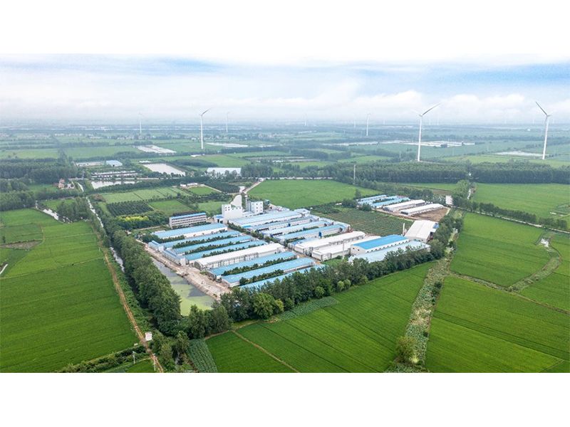 2023年中央一號(hào)文件出爐，畜禽產(chǎn)業(yè)應(yīng)抓住哪些新機(jī)遇？