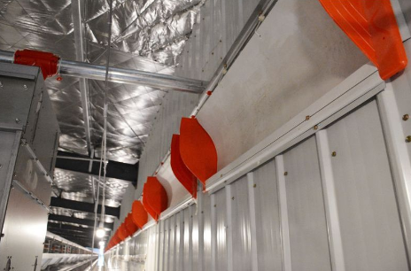 為什么全自動化養(yǎng)雞設(shè)備如此盛行？