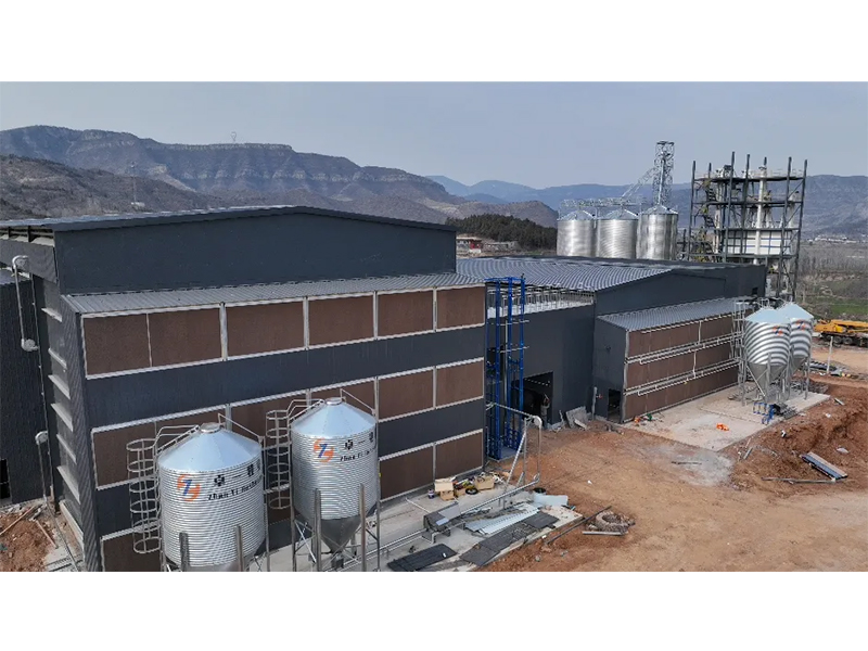 夏季養(yǎng)雞僅關(guān)注溫度環(huán)境？飼料安全須高度重視！