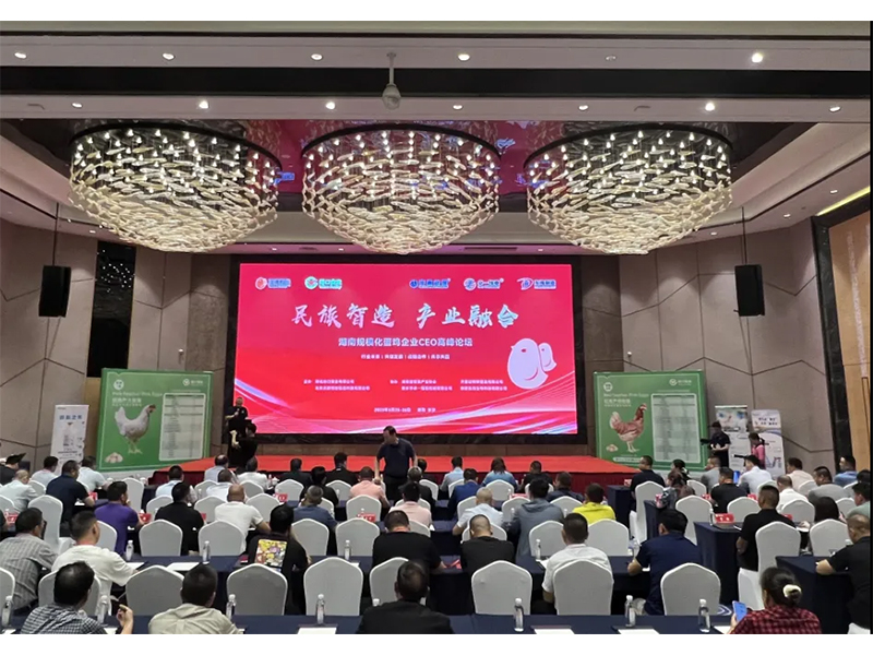 熱烈祝賀湖南規(guī)?；半u企業(yè)CEO高峰論壇取得圓滿成功！
