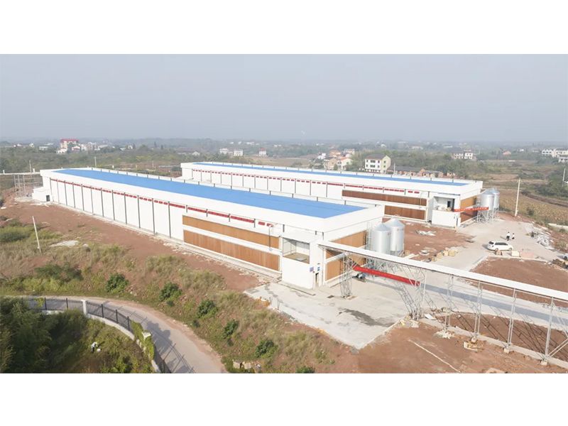 熱烈祝賀西南地區(qū)300萬羽蛋雞養(yǎng)殖基地驗收成功，上雞大吉！