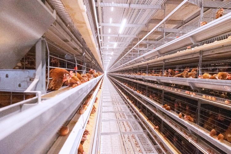 夏季來臨，使用水簾時需要注意哪些事項？