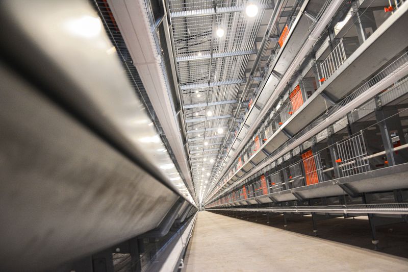  卓一牧業(yè)采用12層大規(guī)模產(chǎn)業(yè)養(yǎng)雞模式，跟進(jìn)養(yǎng)雞規(guī)模新趨勢(shì)